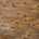 Poster Pena de-Mãe-de-taoca-pintada